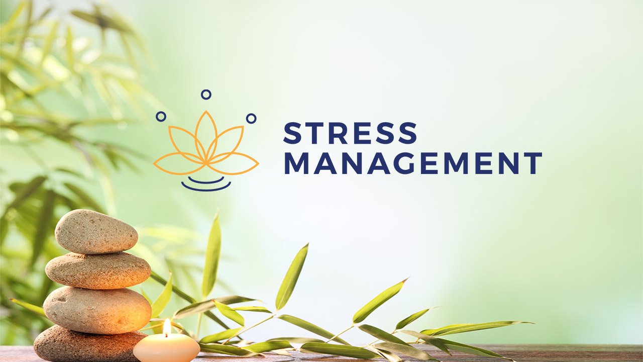 Stress Learning cover