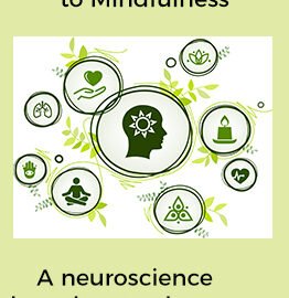 An introduction to Mindfulness – A neuroscience based gamechanger